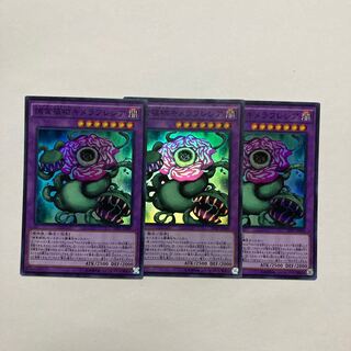 Predaplant Chimerafflesia Super Rare JP009