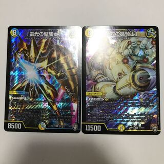 「雷光の聖騎士」「絶対の楯騎士」