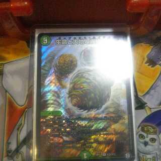 生命と大地の轟破の決断　専用