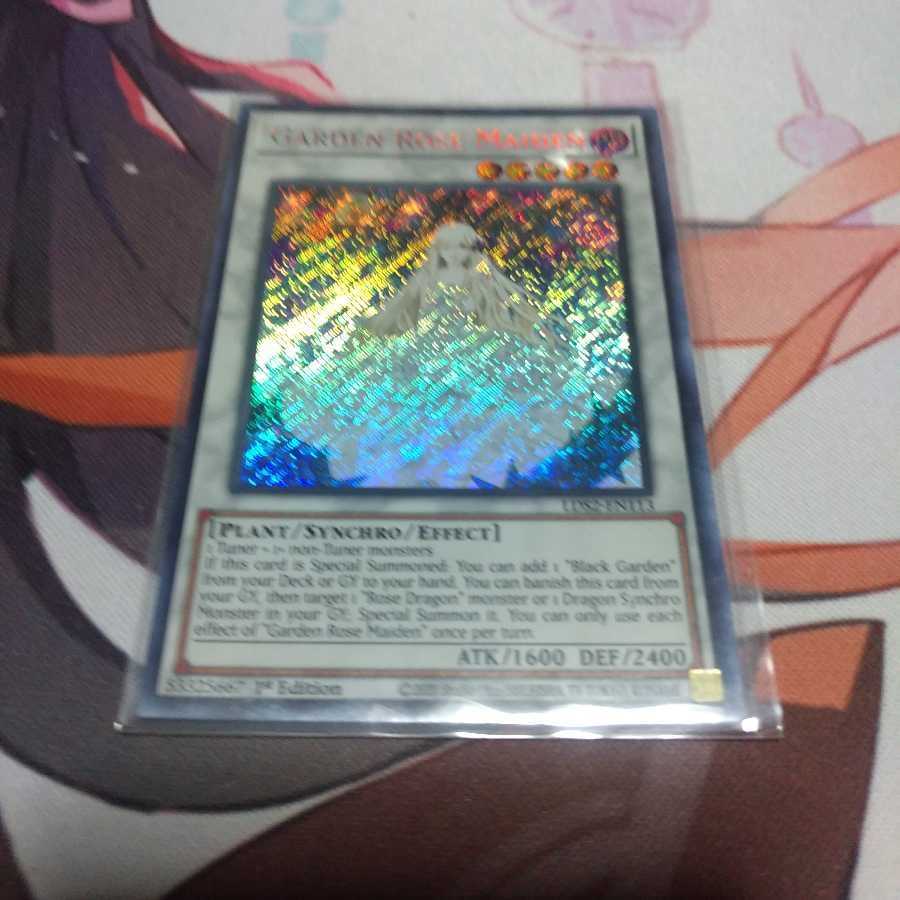 英語 ガーデン・ローズ・メイデン ウルトラレア