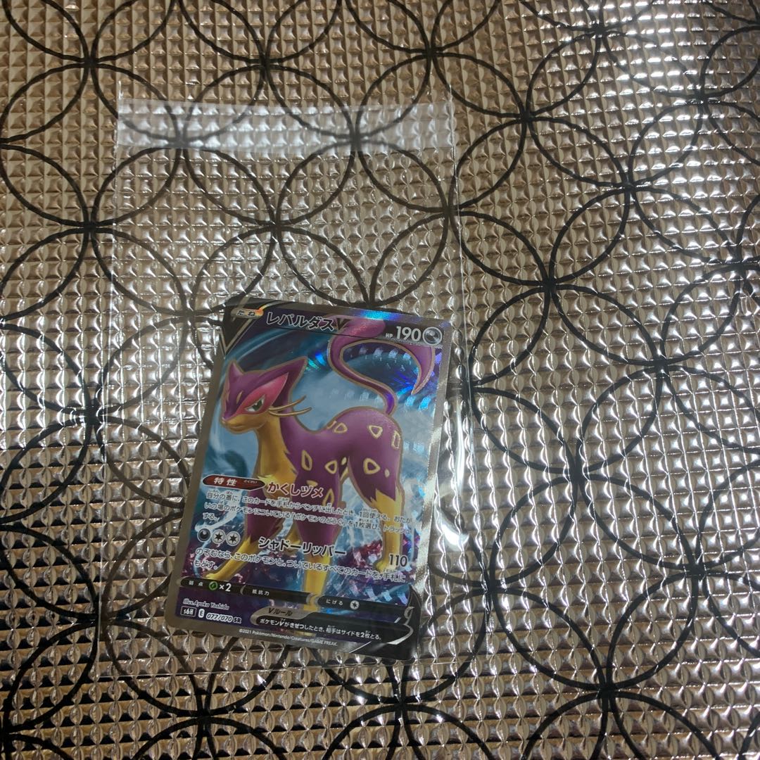 レパルダスV SR077/070