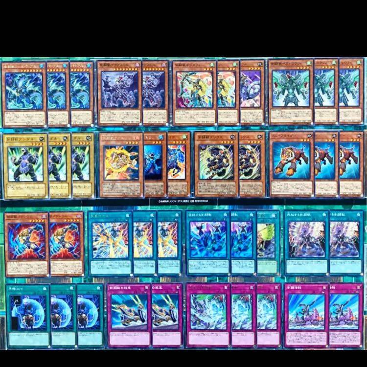 遊戯王 剣闘獣 デッキ 本格構築 グラディアルビースト