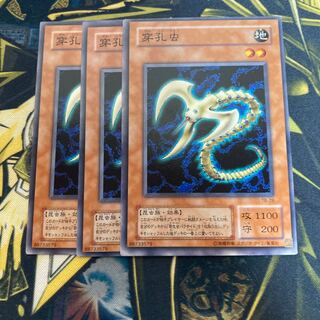 マドレース4259穿孔虫 ノーマル