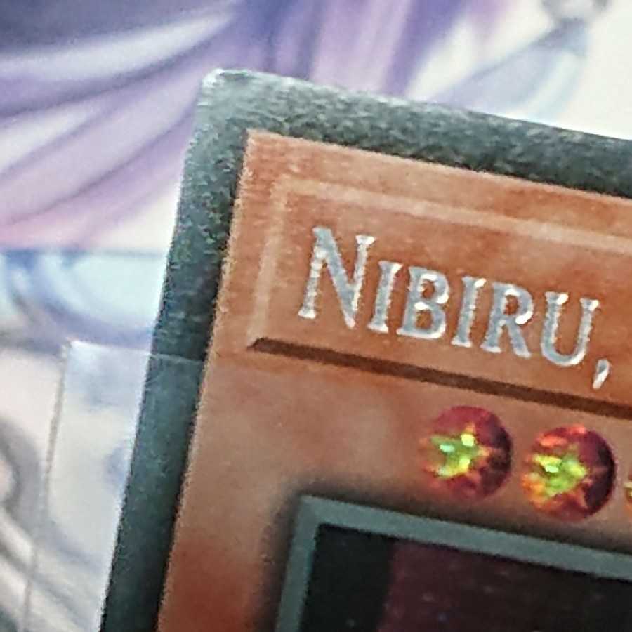 EU版 原始生命態ニビル シークレット