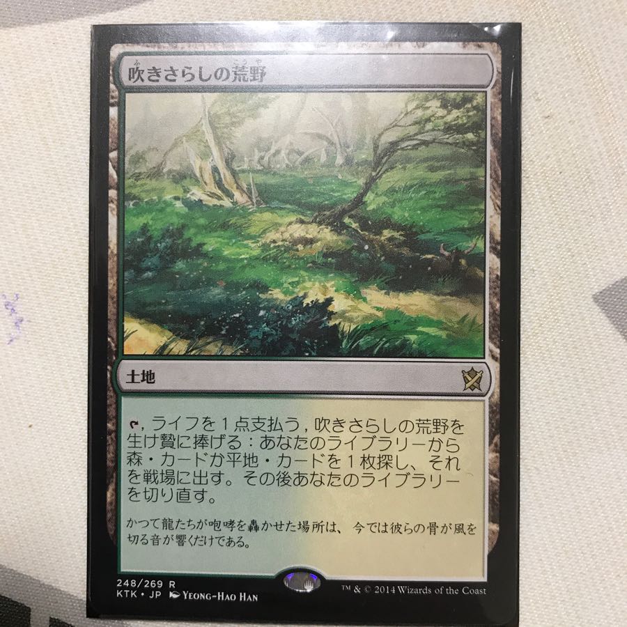 吹きさらしの荒野