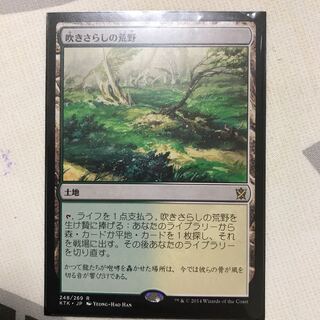 吹きさらしの荒野