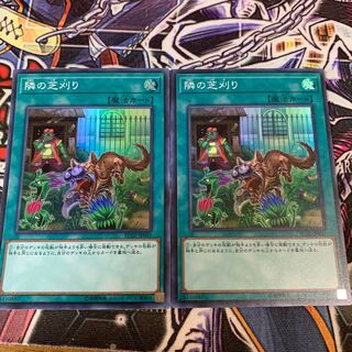 隣の芝刈り スーパーレア×2