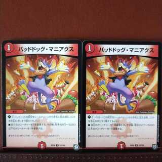 セット割引　バッドドッグ・マニアクス