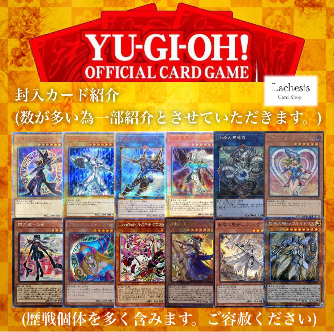 リュウ様専用 10口