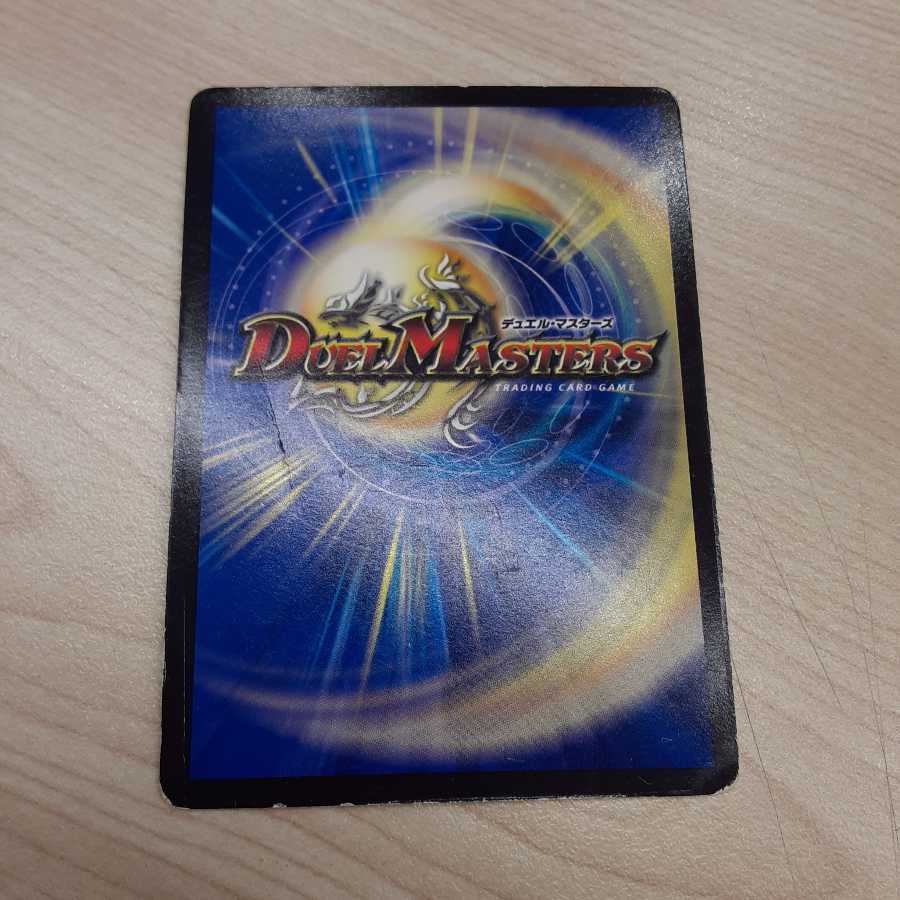 煌龍 サッヴァーク