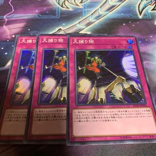 大捕り物 スーパーレア