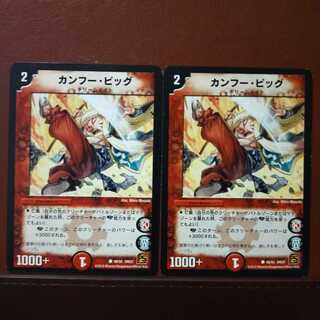 mri1895 set discount kung fu pig