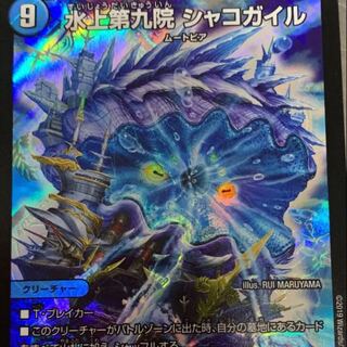 シャコガイル 1枚