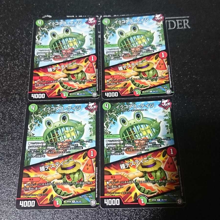 イッコダス・ケイジ|種デスティニー