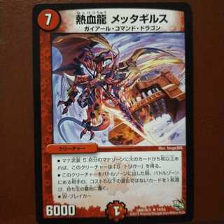 mri1915 set discount for bukki's exclusive use Hot Blooded Dragon Metagirus