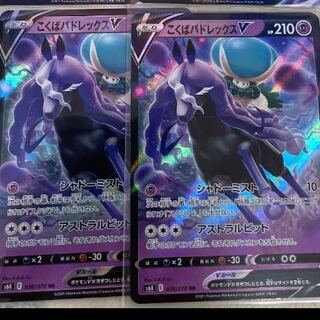 こくばバドレックスV 2枚セット