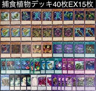 遊戯王　ガチ構築！！　捕食植物　デッキ40枚EX15枚