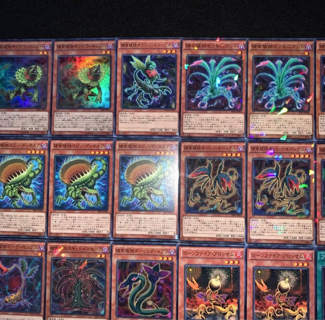 遊戯王　ガチ構築！！　捕食植物　デッキ40枚EX15枚