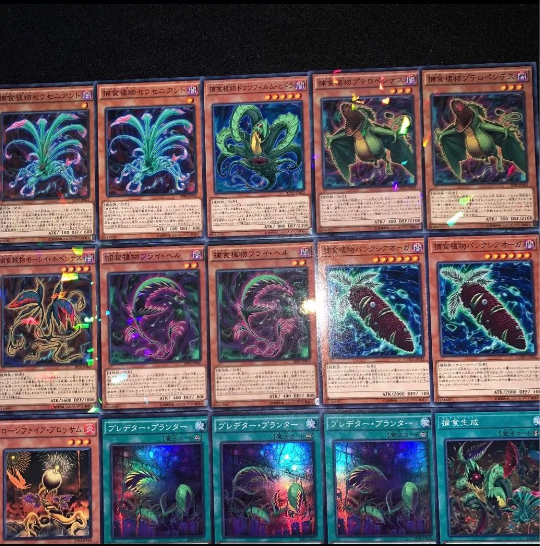 遊戯王　ガチ構築！！　捕食植物　デッキ40枚EX15枚