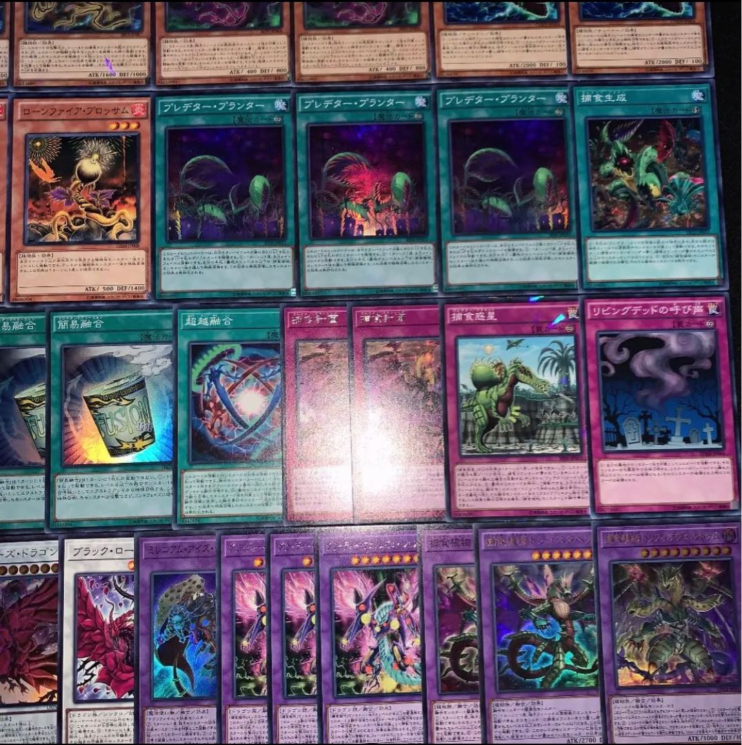 遊戯王　ガチ構築！！　捕食植物　デッキ40枚EX15枚
