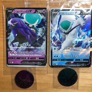 こくばバドレックスV はくばバドレックスV セット