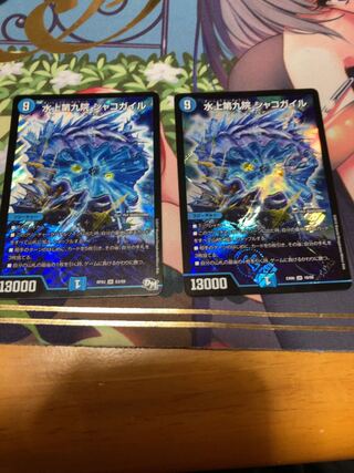 水上第九院 シャコガイル