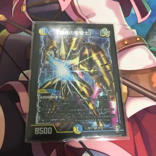 「雷光の聖騎士」