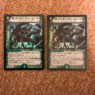 オブシディアンビートル