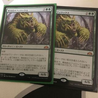 無効皮のフェロックス 2枚セット