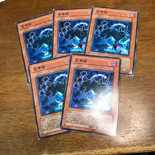 金華猫 ノーマル 5枚