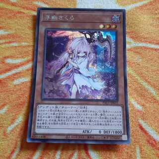 浮幽さくら シークレットレア