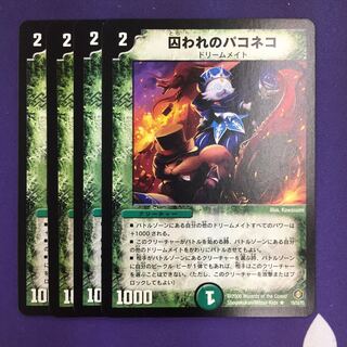 Prisoner's Pakoeneko R 4 pieces