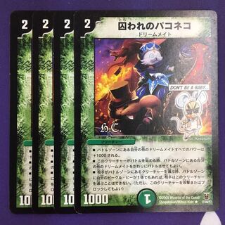 囚われのパコネコ(H.C) 4枚