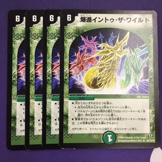 爆進イントゥ・ザ・ワイルド 初期 4枚