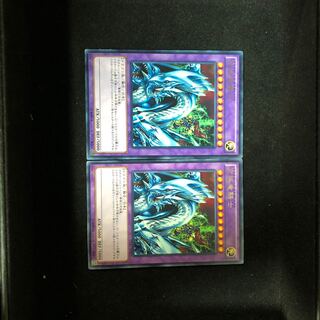 Dragon Master Knight Rare 2-pack