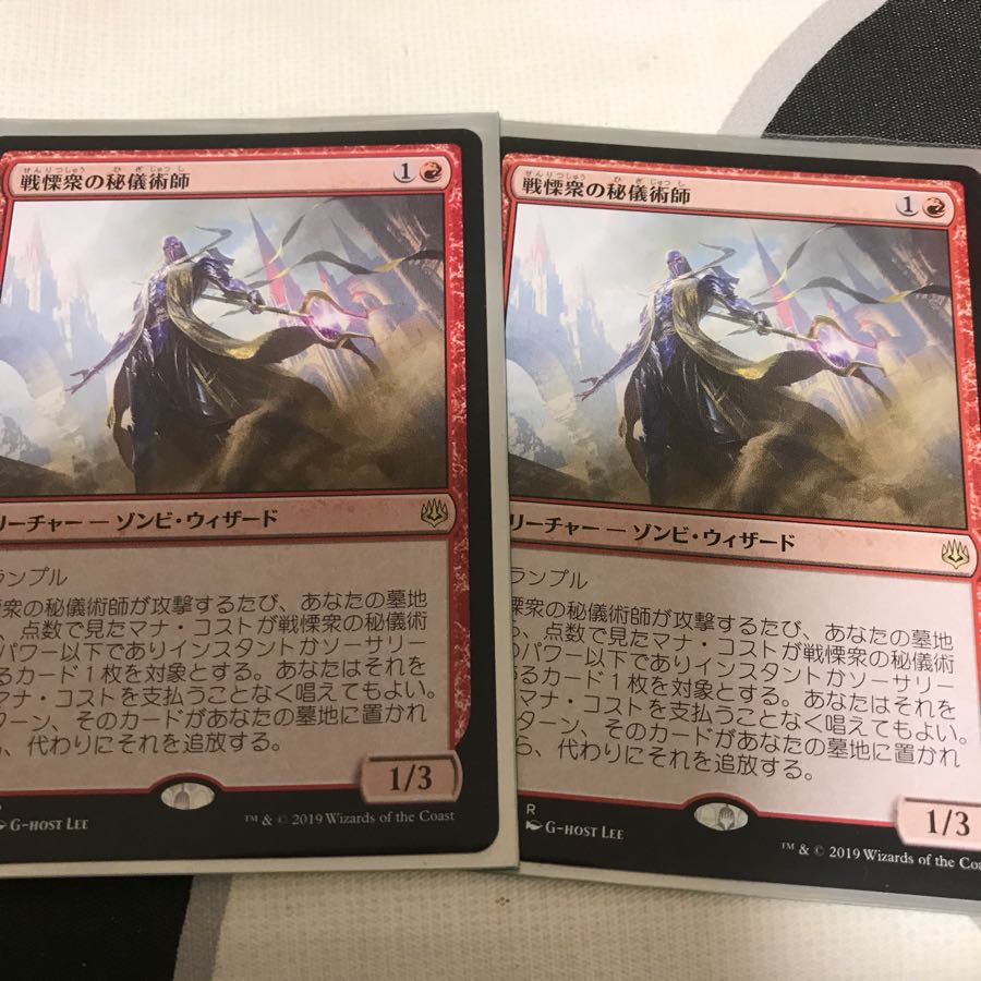 ハセオさん専用戦慄衆の秘儀術師 2枚セット