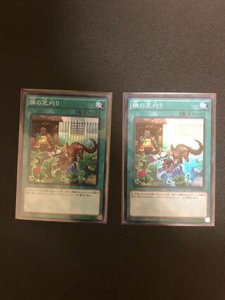 遊戯王　隣の芝刈り　スーパーレア2枚