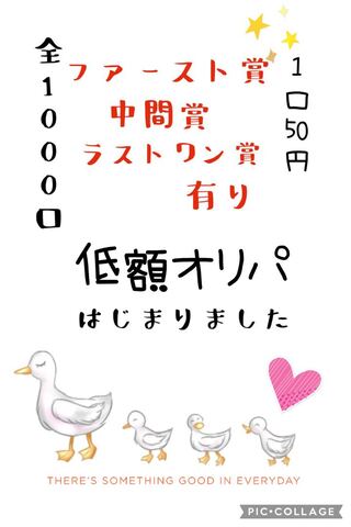 (15口)りくneru様専用