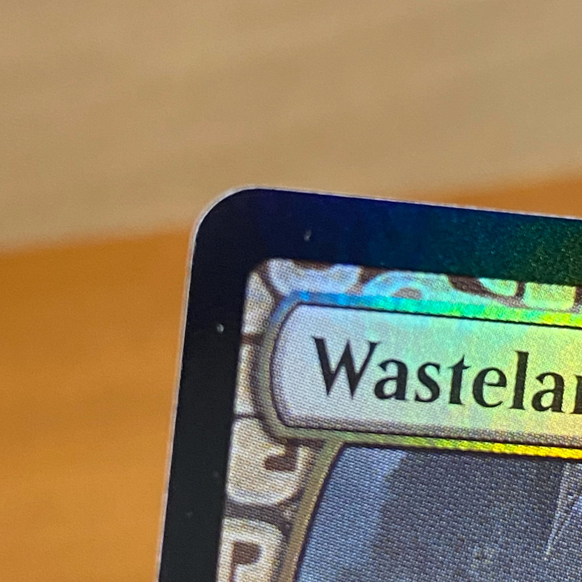 （Foil）不毛の大地/Wasteland［EXP］