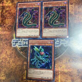 遊戯王★捕食植物オフリス・スコーピオ、ダーリング・コブラ★三枚セット★