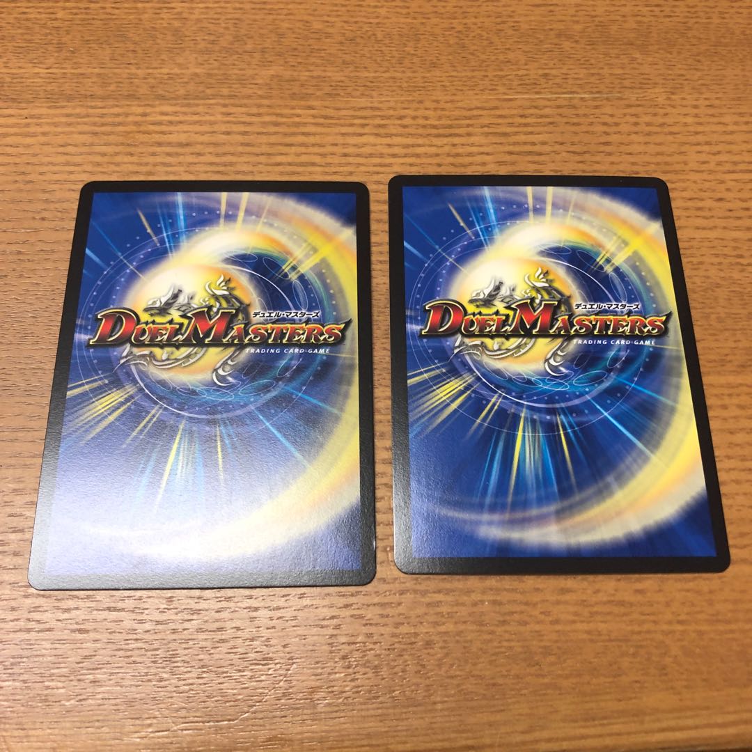 らる様専用(5月16日期限)水上第九院 シャコガイル SR