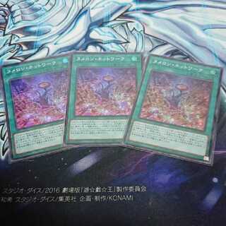 ヌメロンネットワーク