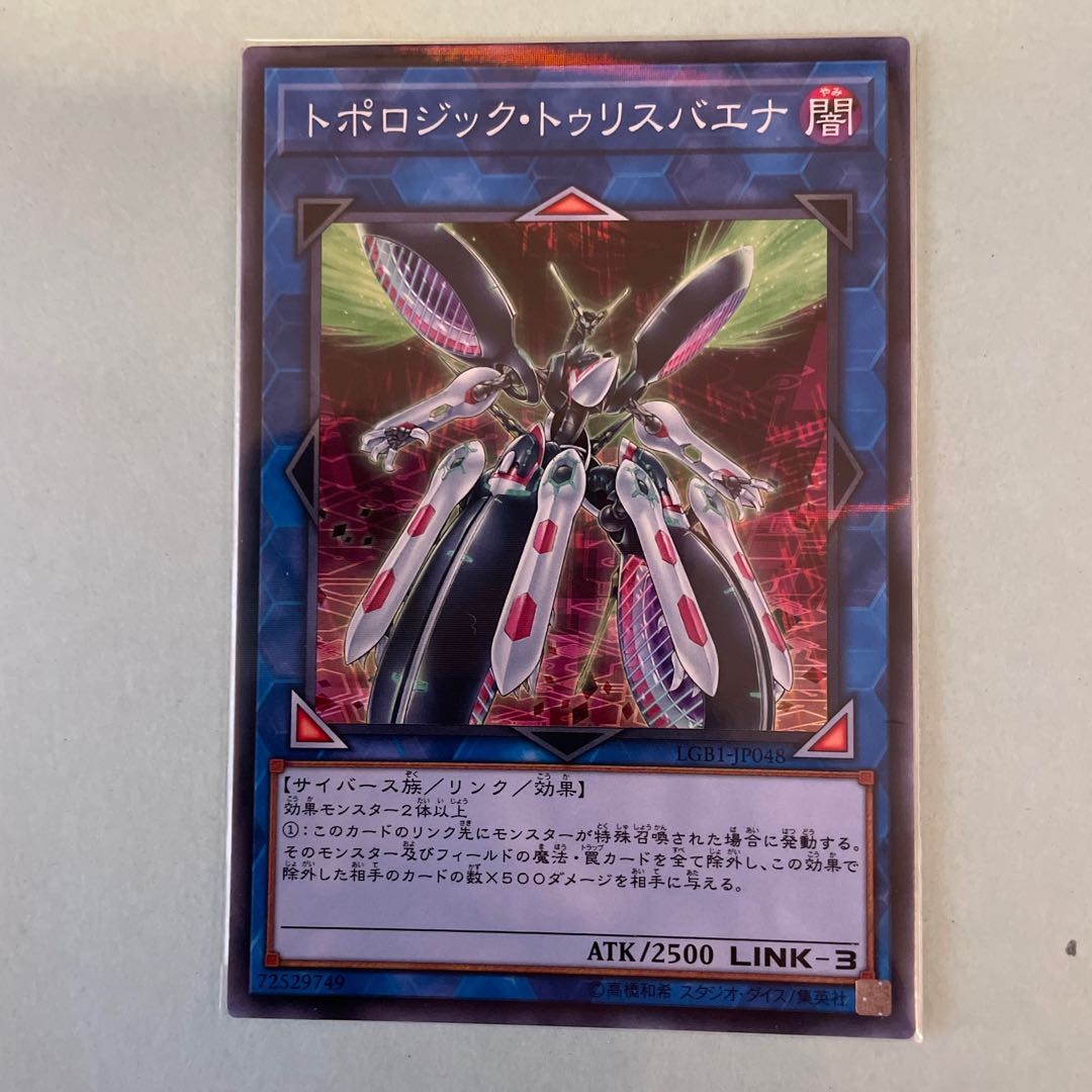 トポロジック・トゥリスバエナ パラレル ノーマル