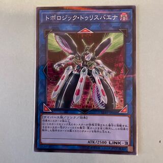 トポロジック・トゥリスバエナ パラレル ノーマル