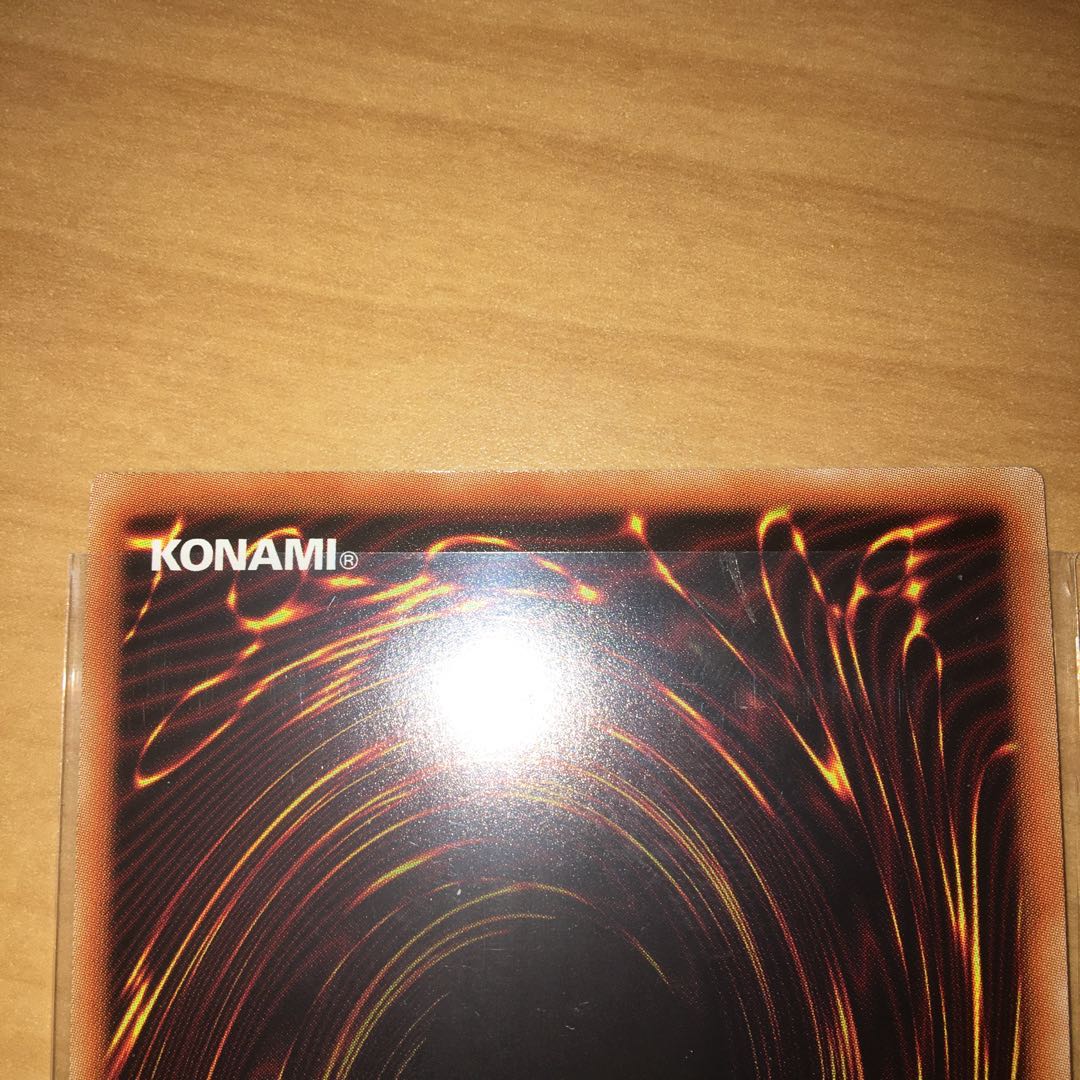 真紅眼の黒竜 シュン様専用。