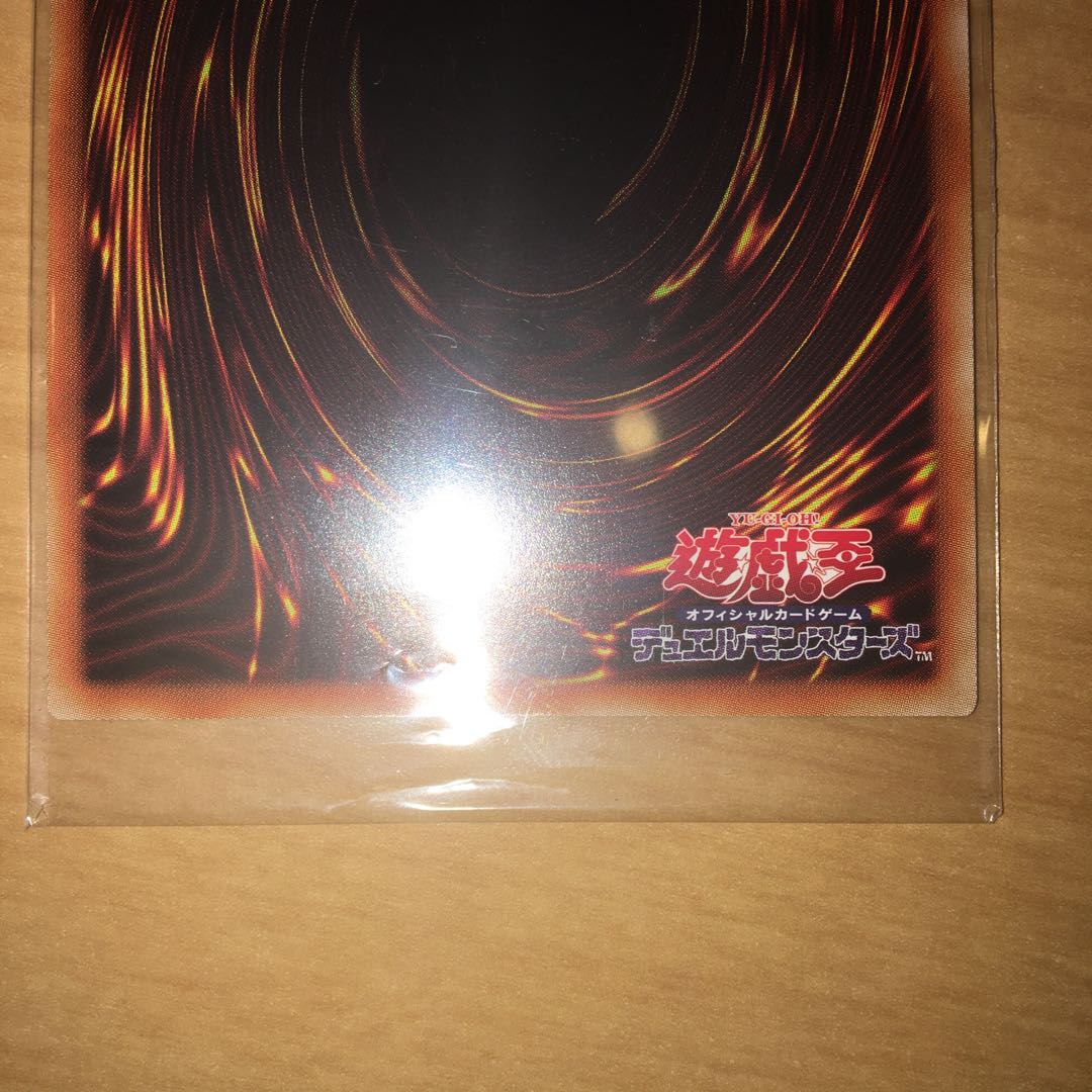 真紅眼の黒竜 シュン様専用。