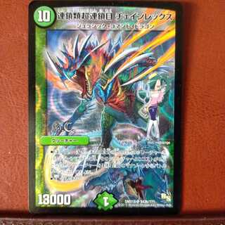 mri2007セット割引　連鎖類超連鎖目 チェインレックス