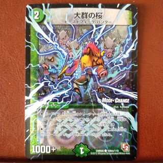 mri2008 set discount Cherry blossoms in large groups (MODE CHANGE)