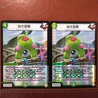 mri2015 set discount hasame sister