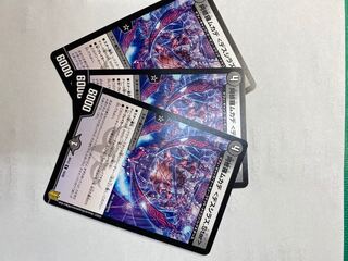 mikan3737様専用　阿修羅ムカデ <デスシラズ.Star> 3枚